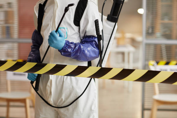 Professional Sewage Cleanup technician working in Villas, FL