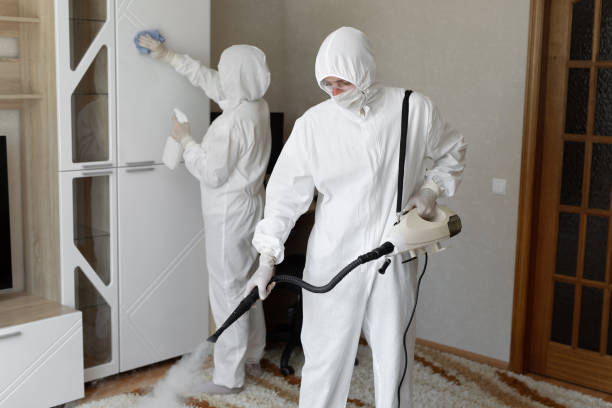 24/7 Emergency Sewage Cleanup experts in Villas, FL