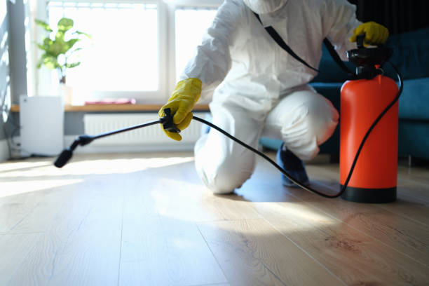 Reliable Sewage Cleanup contractor in Villas, FL by Dulley Family Biohazard Services